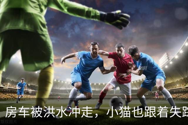 房车被洪水冲走，小猫也跟着失踪，8天后它突然回家了，全家人都哭了