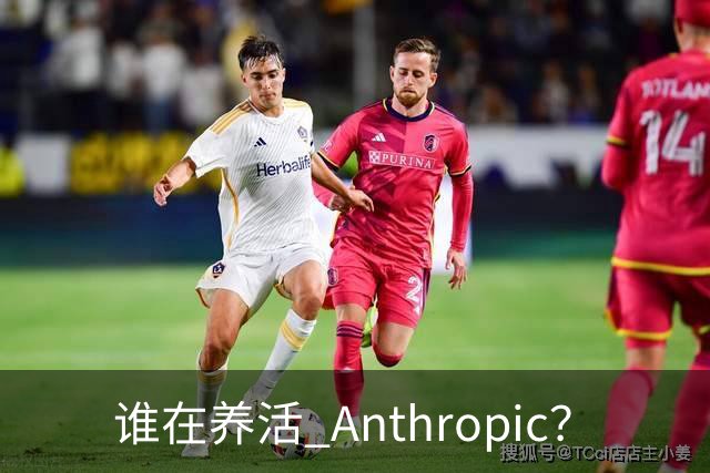 谁在养活 Anthropic？