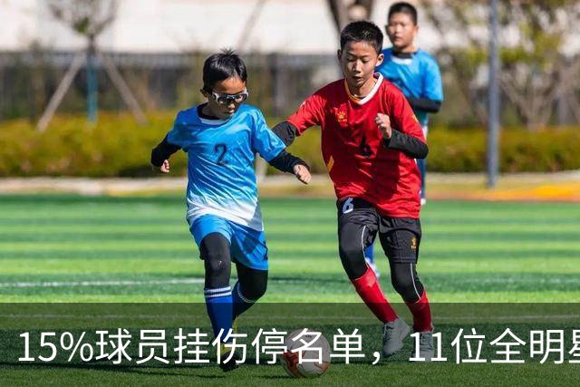 15%球员挂伤停名单，11位全明星已倒下