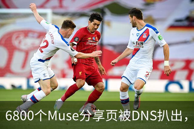 6800个Muse分享页被DNS扒出，Meta紧急暂停